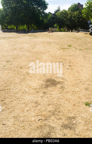 Trockenes Gras in einem Park in die Stadt Bristol, UK, während der Hitzewelle im Sommer 2018 Stockfoto