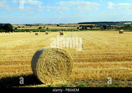 Norfolk Kulturlandschaft, runde Strohballen, nach der Ernte, Stockfoto