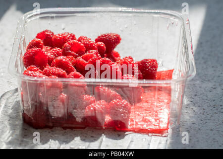 Himbeeren in Kunststoff Supermarkt Wanne. Gesunde reife rote Bio-obst im Shop gekauft recyclingfähigen Behälter auf küchenarbeitsplatte. Stockfoto