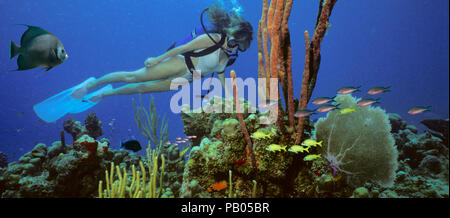 Eine tauchen Mädchen im Bikini stellt über das Korallenriff im warmen Wasser in der Karibik, umgeben von Fischen Stockfoto