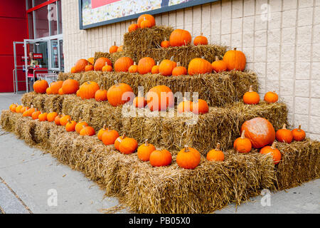 Halloween und Herbst Exponate in einem Store Front in Granby, Eastern Townships, Quebec, Kanada Stockfoto