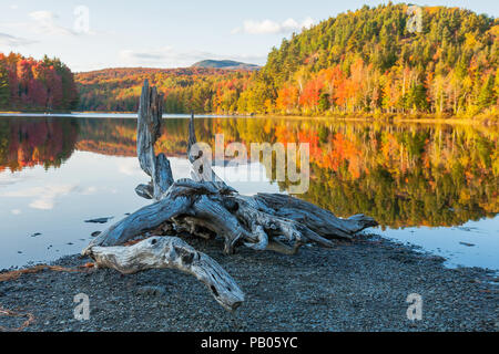 Herbst in Mont Orford Nationalpark, Eastern Townships, Quebec, Kanada. See Etang aux Cerises Stockfoto