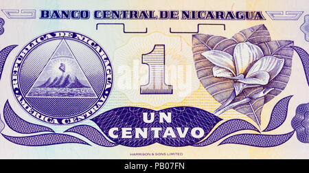 1 Imagen de Cordoba Bank Note. Imagen de Cordoba ist die nationale Währung der Republik Nicaragua Stockfoto