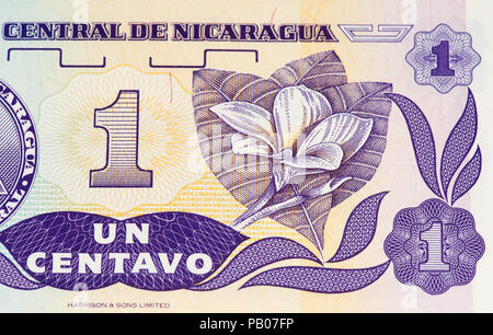 1 Imagen de Cordoba Bank Note. Imagen de Cordoba ist die nationale Währung der Republik Nicaragua Stockfoto