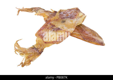 Getrockneten Tintenfisch isoliert auf weißem Hintergrund. Stockfoto