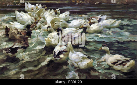 Koester Alexander - Enten im Teich 1 Stockfoto