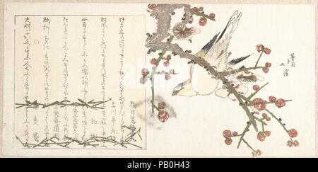 Bush Warbler auf eine Pflaume Zweig (Ume ni uguisu). Artist: Totoya Hokkei (Japanisch, 1780-1850). Kultur: Japan. Abmessungen: 5 7/16 x 11 1/8 in. (13,8 x 28,3 cm). Datum: Anfang des 19. Jahrhunderts. Museum: Metropolitan Museum of Art, New York, USA. Stockfoto