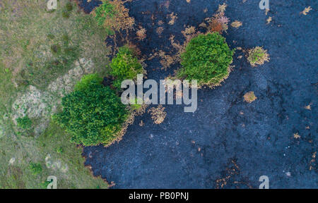 Abstrakte Luftaufnahme von einem Moor, der durch eine Wildfire 2018 verbrannt wurde (Randbøl Hede in Billund, Dänemark) Stockfoto