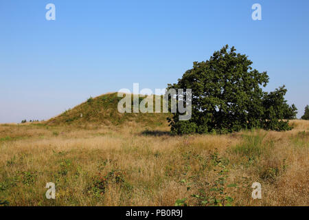 Grabhügel aus der Bronzezeit (Firehøje) in der Nähe von Vejle, Dänemark Stockfoto