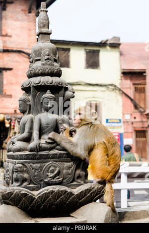 Affe auf die Schreine in der Umgebung des Stupa in Swayambhunath oder Monkey Tempel, Kathmandu, Nepal Stockfoto