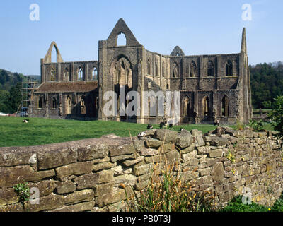 Mai 1994: Malerische Ruinen von Tintern Abbey in Tintern im Wye Valley, Gwent, Wales, Großbritannien Stockfoto