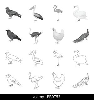 Crow, Strauß, Huhn, Pfau. Vögel Sammlung Icons in Grenzen gesetzt, Schwarzweiß-Stil vektor Symbol lieferbar Abbildung. Stock Vektor