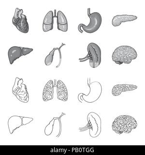 Leber, Gallenblase, Nieren, Gehirn. Menschliche Organe Sammlung Icons in Grenzen gesetzt, Schwarzweiß-Stil vektor Symbol lieferbar Abbildung. Stock Vektor