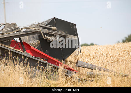 Ein Mähdrescher schneiden Weizen während Großbritannien 2018 Hitzewelle. Wiltshire England UK GB Stockfoto