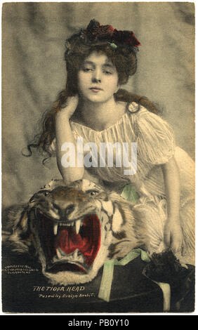 Evelyn Nesbit, der Tiger-Head, Porträt auf tiger-skin Wolldecke, Postkarte, 1902 Stockfoto