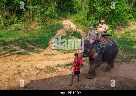 Touristen reiten auf einem Elefanten in Thailand. Stockfoto