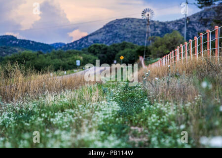 Molino de viento, Montaña y Flores de Primavera y Verano en el Municipio de Nacozari Sonora y sus Alrededores. Carretera a Esqueda Sonora, Fronteras Stockfoto