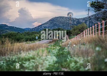 Molino de viento, Montaña y Flores de Primavera y Verano en el Municipio de Nacozari Sonora y sus Alrededores. Carretera a Esqueda Sonora, Fronteras Stockfoto