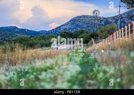 Molino de viento, Montaña y Flores de Primavera y Verano en el Municipio de Nacozari Sonora y sus Alrededores. Carretera a Esqueda Sonora, Fronteras Stockfoto