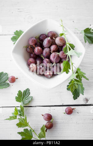 Strauß roter Stachelbeeren in Weiß Schüssel Stockfoto