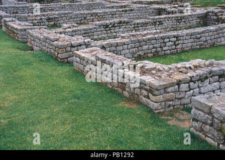 Ruinen der römischen Festung auf Hadrian's Wall, Housesteads, Northumbria, England, 2. Foto Stockfoto