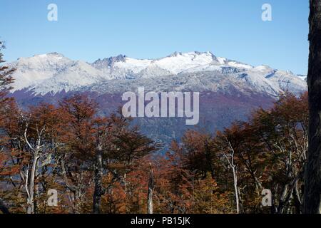 Lindero Magallanes Otoño, Patagonien, Carretera Austral, Chile Stockfoto