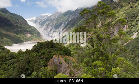 Franz Josef Glacier, Neuseeland Stockfoto