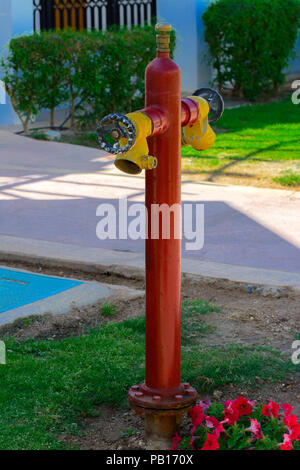 Red Fire Hydrant mit gelben Stecker. Hydranten oder Sprinklerpumpe, stellt den Zusammenhang, durch die Feuerwehr das Wasser eingeben können Stockfoto