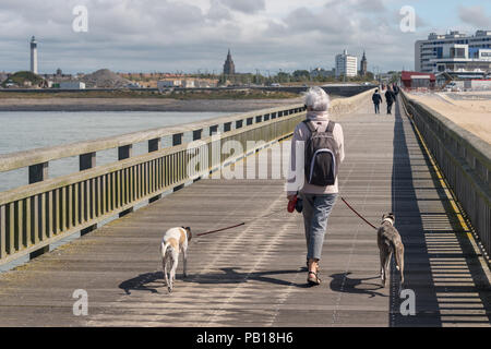 Calais, Frankreich - 19. Juni 2018: Frau mit zwei Hunde auf der Westanleger im Sommer. Stockfoto
