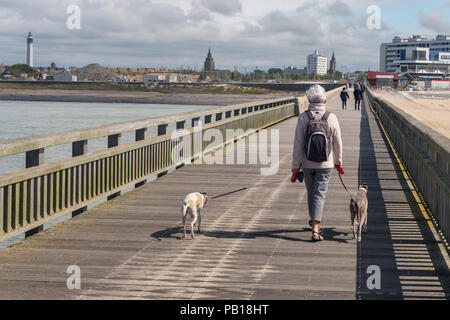 Calais, Frankreich - 19. Juni 2018: Frau mit zwei Hunde auf der Westanleger im Sommer. Stockfoto