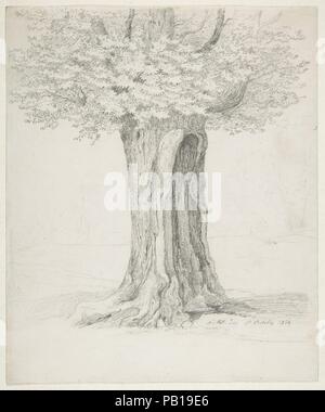 Studie eines Baumes; Verso: Studie von Häusern. Künstler: Ernst Ferdinand Oehme (Deutsch, Dresden Dresden 1797-1855). Maße: Blatt: 8 3/8 x 6 15/16 in. (21,2 x 17,7 cm). Datum: 1832. Eine führende Künstler seiner Generation, Oehme hier zeigt eine mächtige Eiche, ein Baum lange mit der Deutschen nationalen Identität zugeordnet und vor allem durch die Künstler der Romantik. Wie in der Beschreibung angegeben, diese detaillierte Studie der verwitterten Rinde und freiliegenden Wurzeln wurde vom Leben am 3. Oktober 1832 vorgenommen. Durch die Konzentration auf die monumentale Stamm statt der hoch aufragenden Crown, Oehme erstellt ein Bild der Ruhe und Kraft. Mus Stockfoto