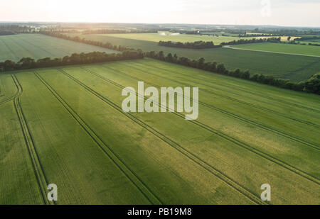 Luftaufnahme der ländlichen Dänemark, mit scheinbar endlosen Getreidefelder Stockfoto