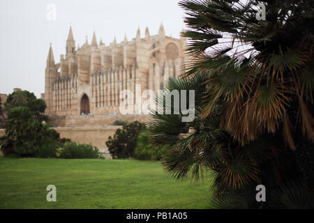 Die Kathedrale in Palma de Mallorca Stockfoto