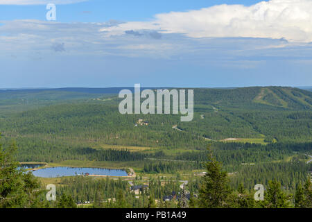 Unendliche Wälder auf grünen Hügeln. Finnische Lappland. Sommer der nördlichen Landschaft Stockfoto