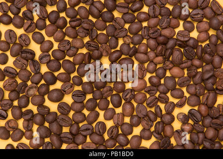 Kaffee Samen auf einem farbigen Hintergrund Stockfoto