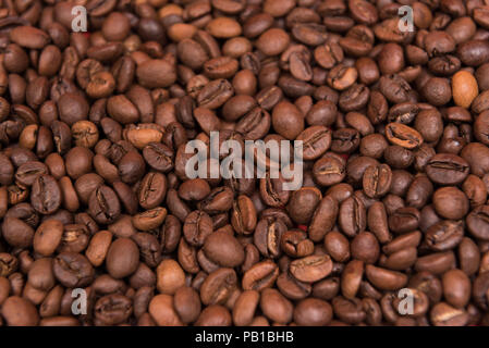 Kaffee Samen auf einem farbigen Hintergrund Stockfoto