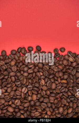 Kaffee Samen auf einem farbigen Hintergrund Stockfoto