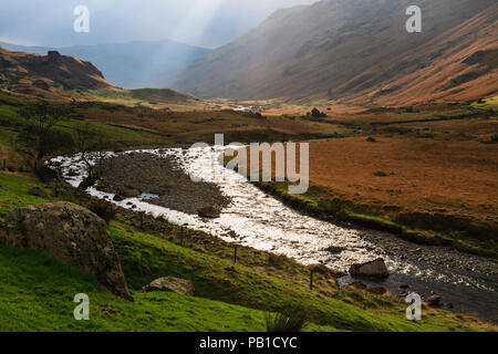 Moody herbst Szene mit langstrath Beck fließt durch Langstrath Tal in Lake District National Park. Stonethwaite Borrowdale Cumbria England Großbritannien Stockfoto