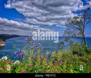 De - Devon: Babbacombe Bucht von Clifftop Grün (HDR-Bild) Stockfoto