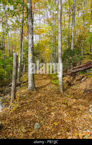 Die Osseo Trail, hier gesehen, in Lincoln, New Hampshire nutzt einen Teil der East Branch & Lincoln Railroad's "Schmalspur"-Zeile. Die EB&L Railroa Stockfoto