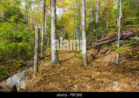 Die Osseo Trail, hier gesehen, in Lincoln, New Hampshire nutzt einen Teil der East Branch & Lincoln Railroad's "Schmalspur"-Zeile. Die EB&L Railroa Stockfoto