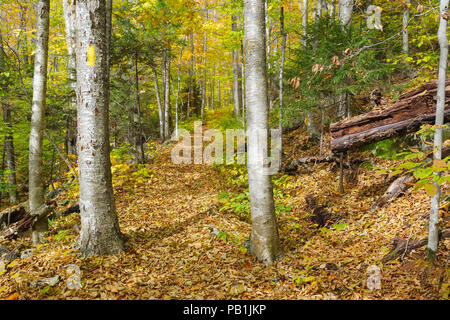 Die Osseo Trail, hier gesehen, in Lincoln, New Hampshire nutzt einen Teil der East Branch & Lincoln Railroad's "Schmalspur"-Zeile. Die EB&L Railroa Stockfoto