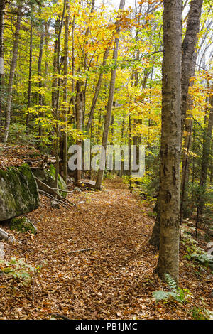 Die Osseo Trail, hier gesehen, in Lincoln, New Hampshire nutzt einen Teil der East Branch & Lincoln Railroad's "Schmalspur"-Zeile. Die EB&L Railroa Stockfoto