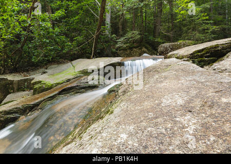 Kleine Kaskade auf Stony Brook in der Hart-Lage, New Hampshire während der Sommermonate. Dieser Bach ist auf der Seite des Mount Tremont Trail. Stockfoto