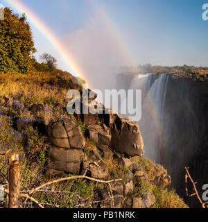 Die Victoria Falls in Simbabwe, Afrika Stockfoto