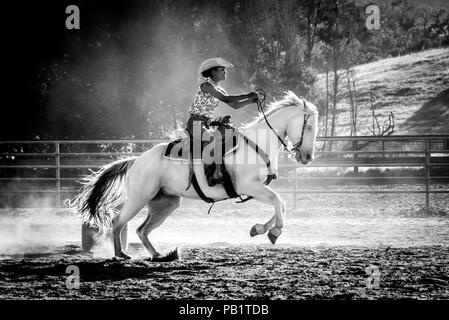 Eine echte Kalifornien cowgirl oder Farbe reitet auf einem weißen Pferd, Barrel Racing Action shot in Schwarz und Weiß, vorderen Hufen in der Luft, auf der Oberfläche. Stockfoto