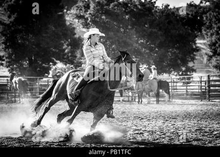 Echtes cowgirl zeigt True Grit wie Ihr Pferd lehnt, Grabungen in der während einer Barrel Race rühren Staub aus seinen Hufen, wie Sie drehen. Racing Reiter auf dem Pferd. Stockfoto