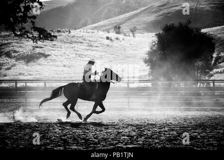 Eine schwarze und weiße Silhouette einer echten cowgirl Frau Wrangler zu Pferd im Galopp mit Zaun und dahinter liegenden Hügel in einer horizontalen Aktion erschossen. Stockfoto