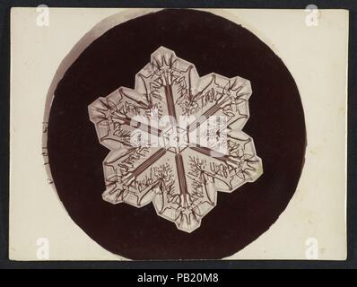 [Snow Crystal]. Artist: Wilson Alwyn Bentley (American, 1865-1931). Abmessungen: Bild: 3. × 3 1/8 in. (7,6×7,9 cm): 3 x 4-in. (7,6 × 10,1 cm). Datum: 1890S-1920s. Museum: Metropolitan Museum of Art, New York, USA. Stockfoto