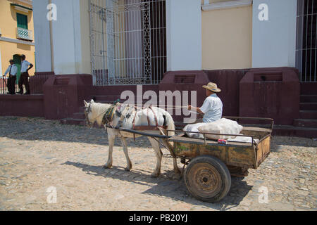 Mensch und Pferd Warenkorb Reiten durch die gepflasterten Straßen von Trinidad, Kuba Stockfoto